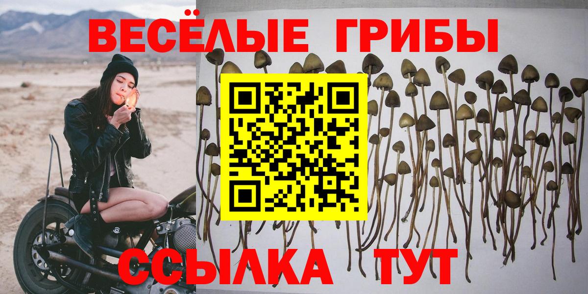 Галлюциногенные грибы мухоморы  Вход с VPN  наркошоп  Псилоцибиновые грибы Cubensis  Ханты-Мансийск 